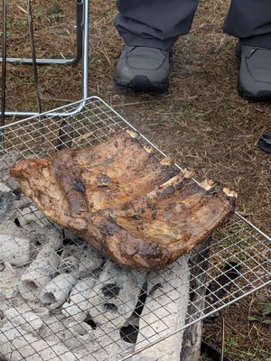 images/camp5.JPEG