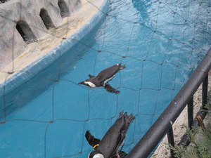 images/ueno3.webp