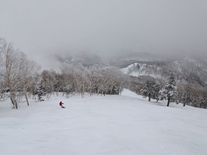 images/snow4.jpg