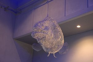 images/travel6.jpg