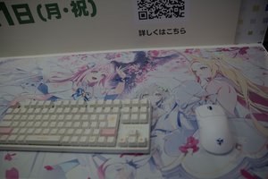 images/tgs3.jpg